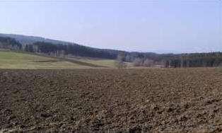Flur nördlich der Ortschaft Pullenried, Quellgebiet des Tröbesbach